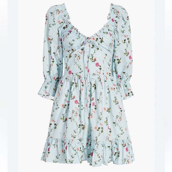 Hill House The Samantha Nap Dress Pond Floral XXS Romantic Garden Tea Party - Picture 1 of 16